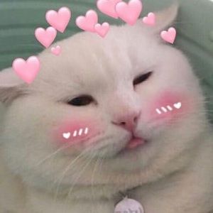 Meet your Posher, Gisel